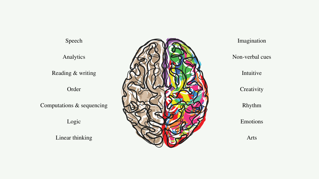 It shows the right and left-brain differences in how we process information.